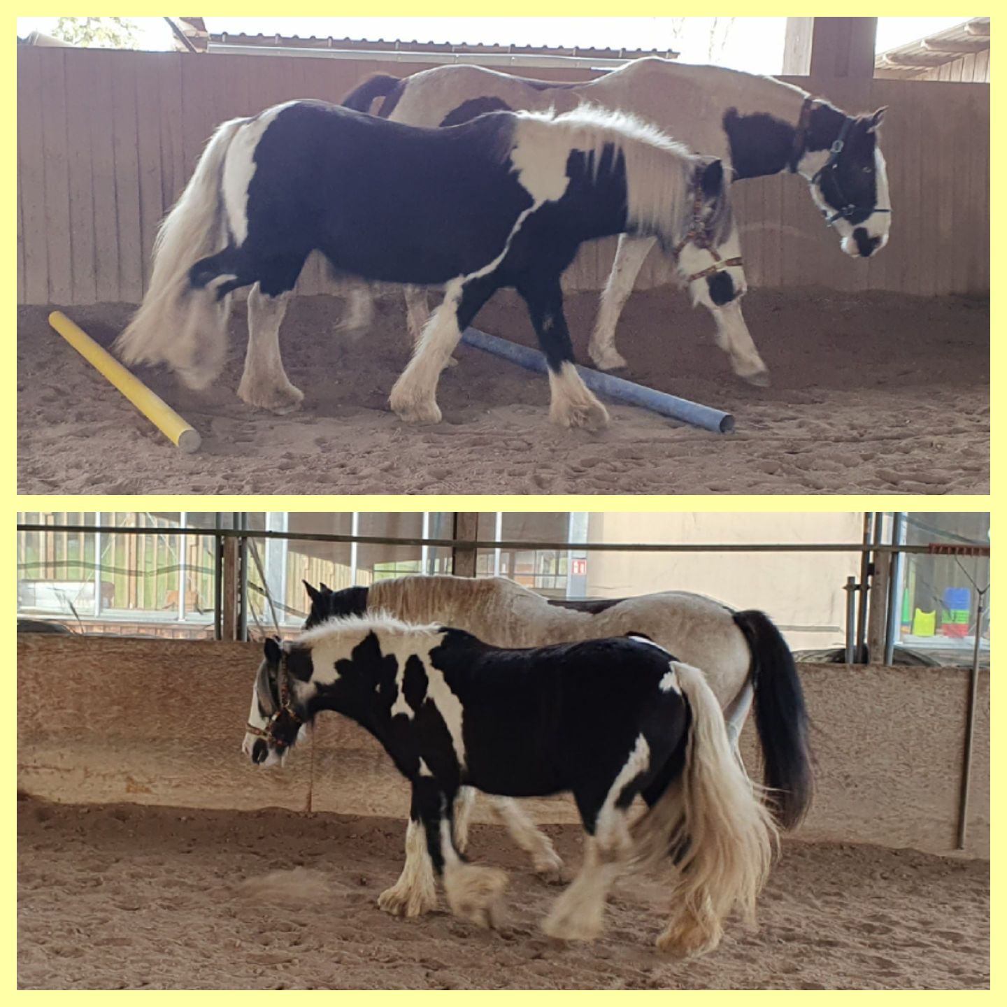 2023 12 Dezember 662